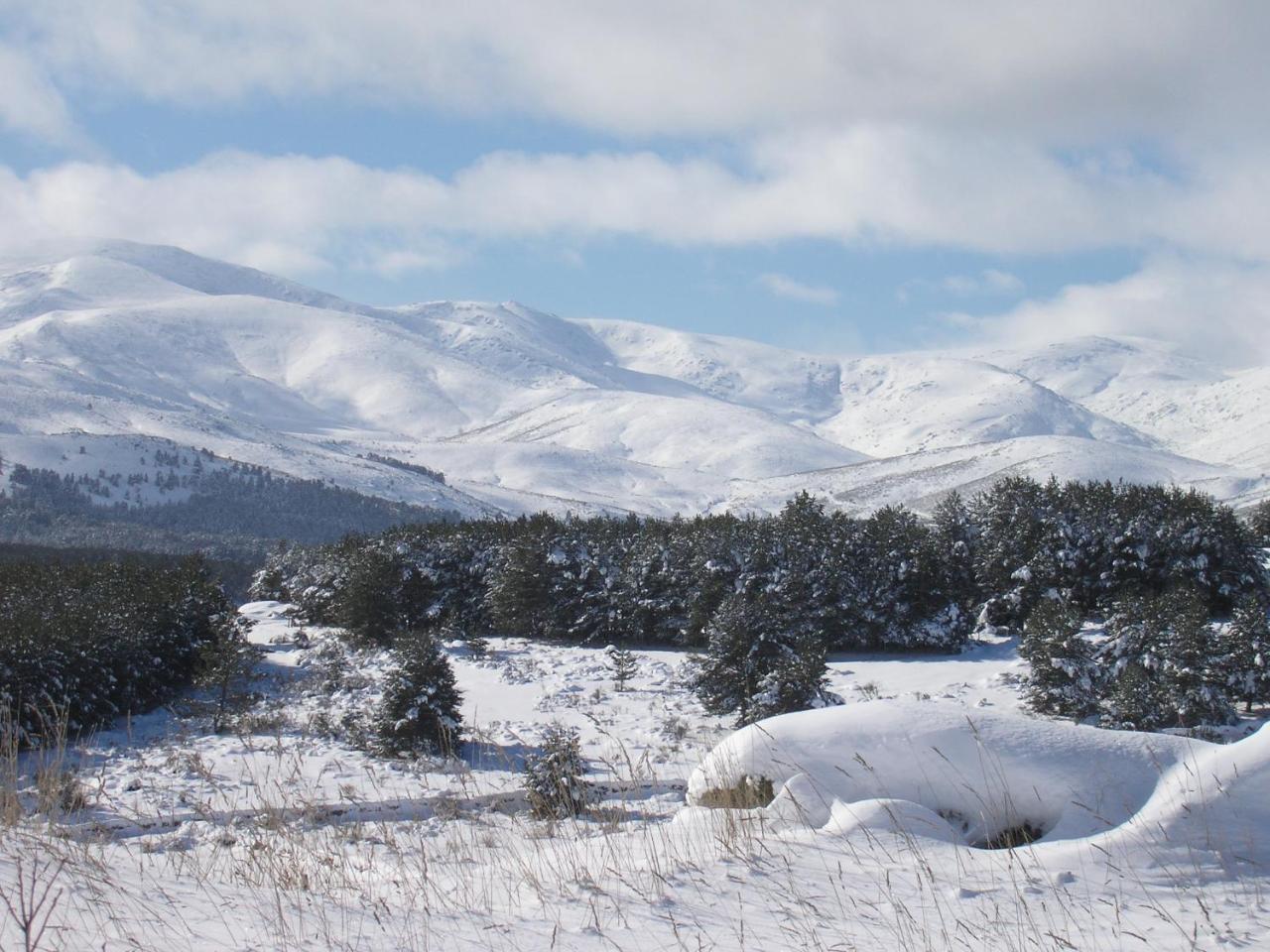 Вилла Tinao De Gredos Барахас-де-Гредос Экстерьер фото