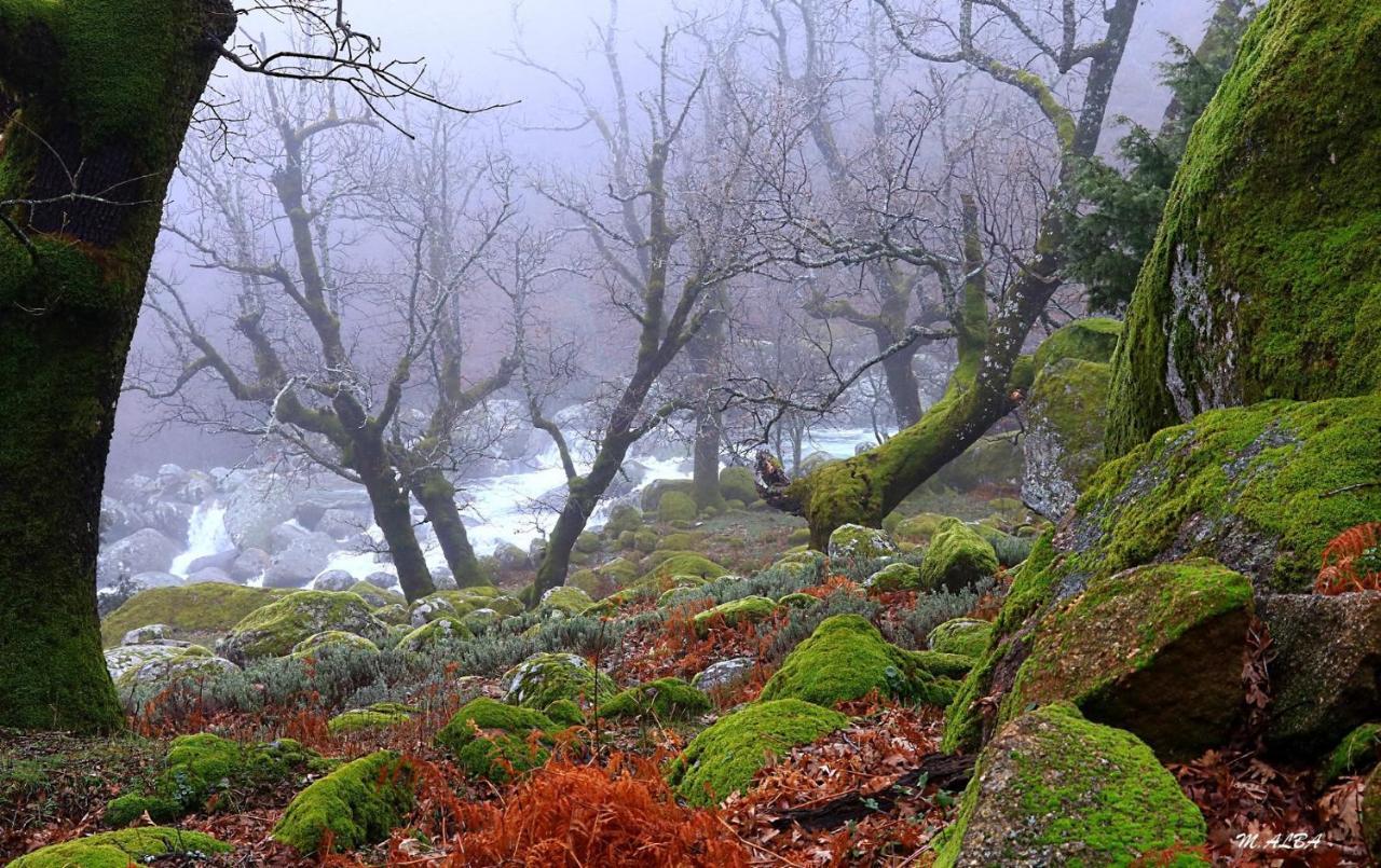 Вилла Tinao De Gredos Барахас-де-Гредос Экстерьер фото
